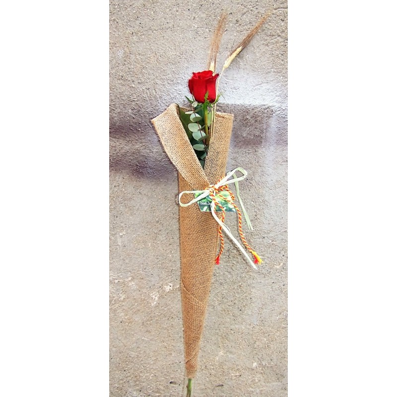 Rosa de Sant Jordi Rosa de Sant Jordi