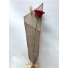 Rosa de Sant Jordi "Saco"