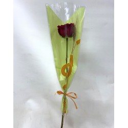 Rosa de Sant Jordi Clásica