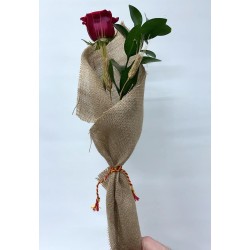 Rosa de Sant Jordi 'Natural'