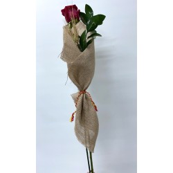 Rosa de Sant Jordi "Natural"